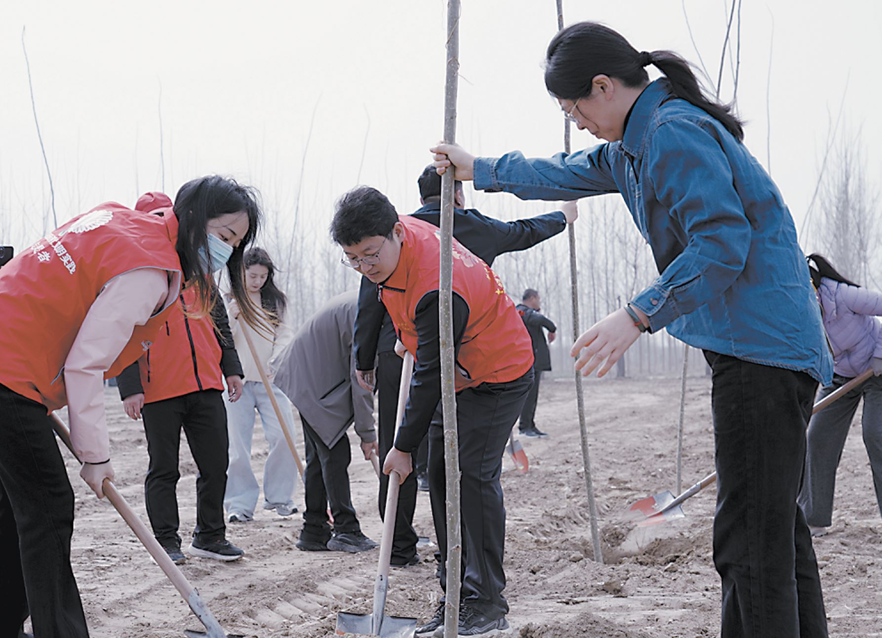 携手添新绿 共建劳模林