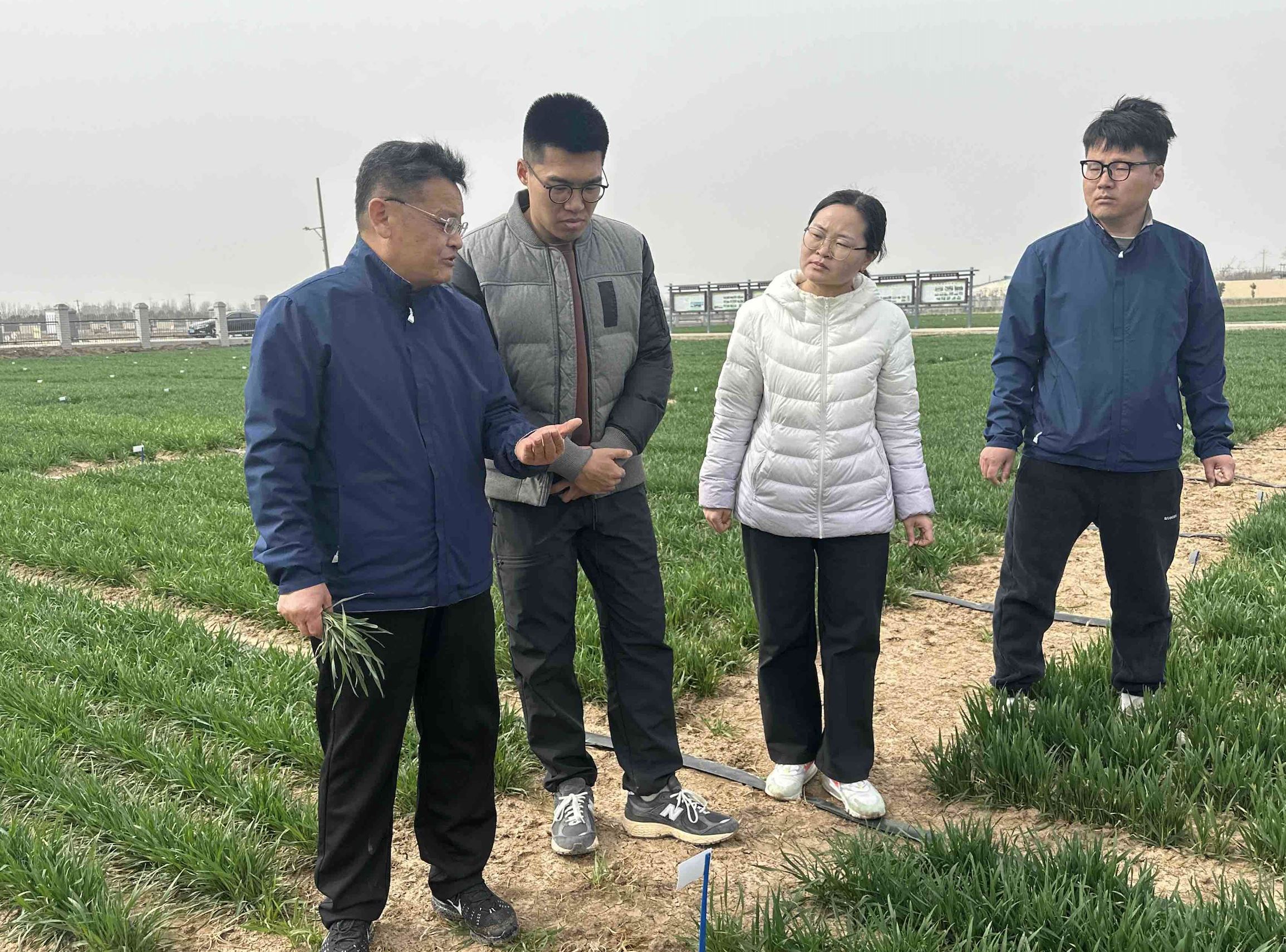 筛选优良品种  筑牢丰产根基