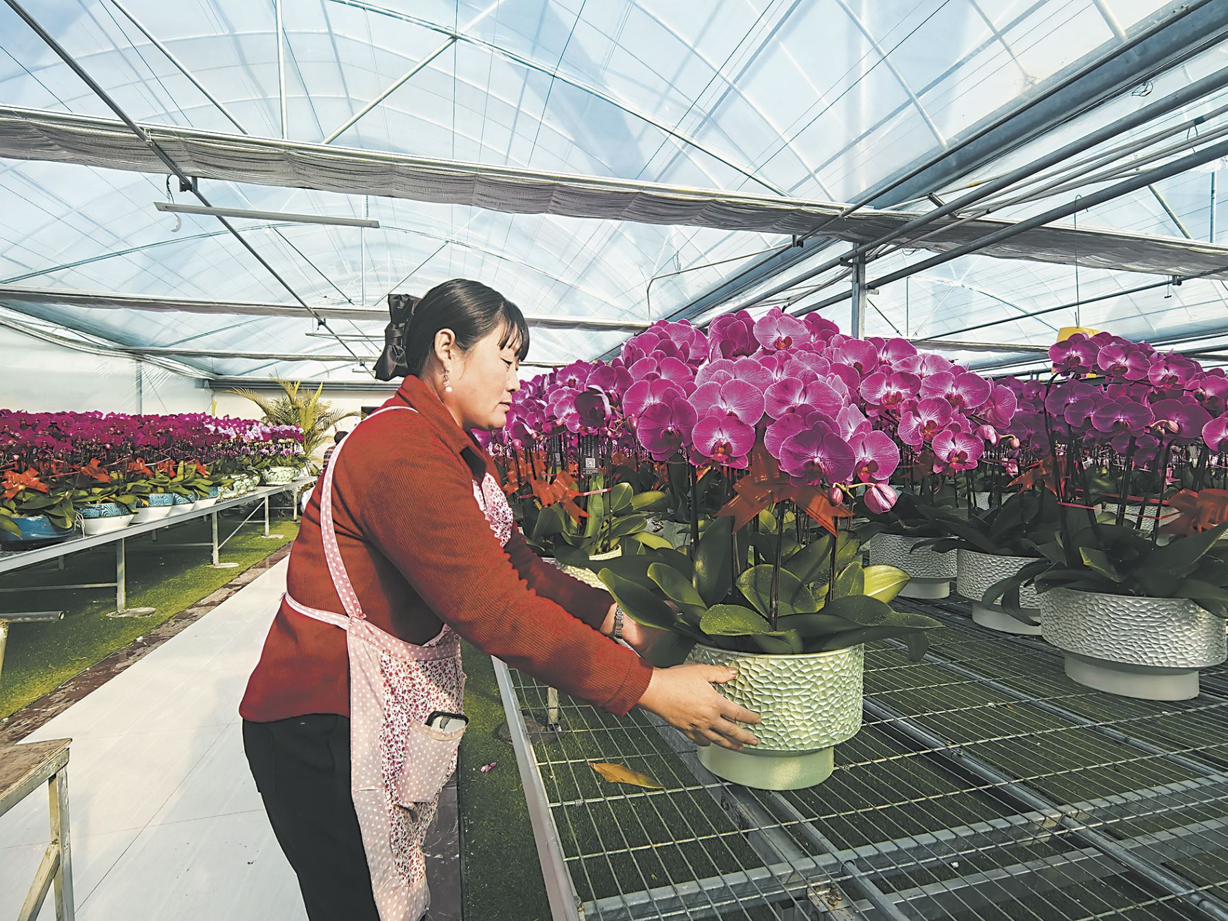 数智化催开“四季花海”