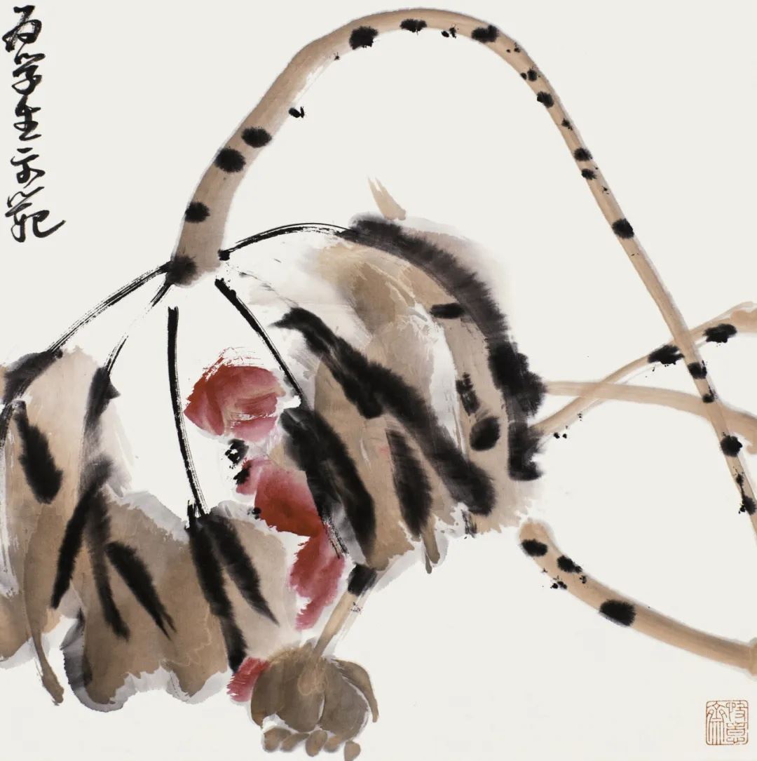 为学生示范画荷花（课稿）