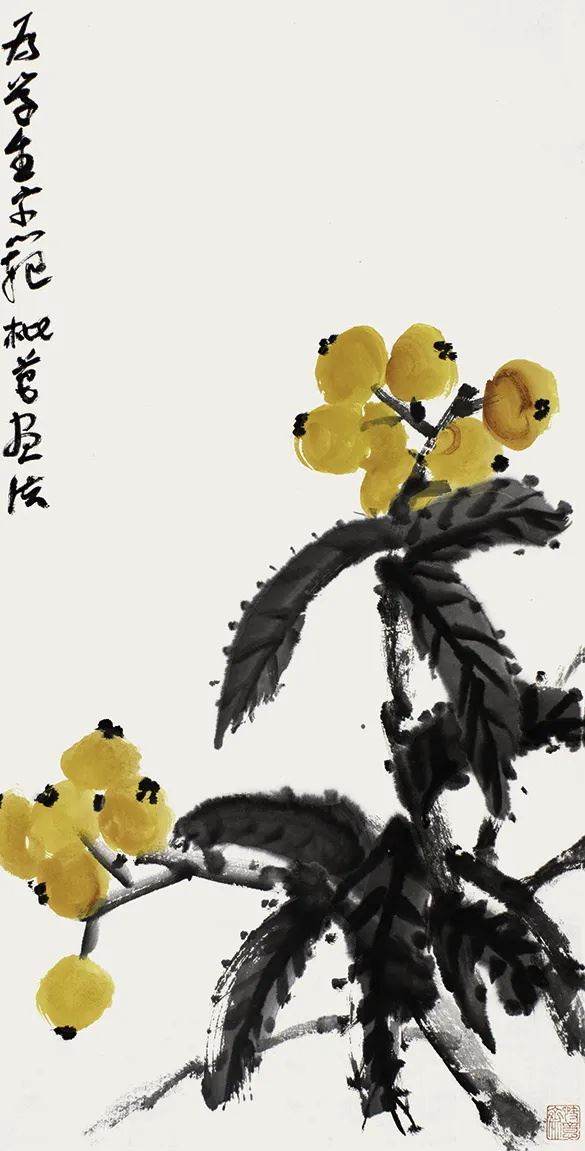 为学生示范枇杷画法（课稿）