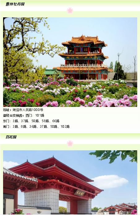 畅游花海 省心省时省钱的乘公交赏牡丹指南来啦