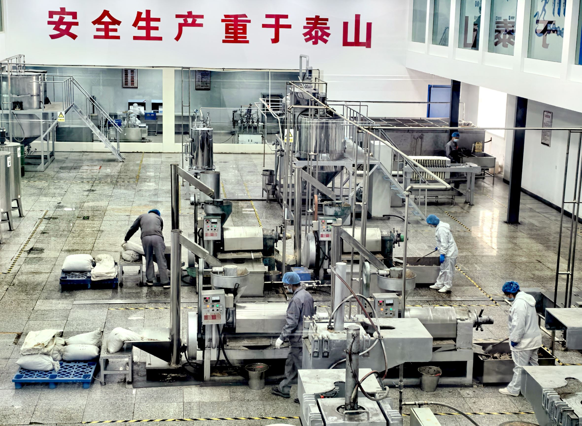 自动化赋能牡丹深加工产业