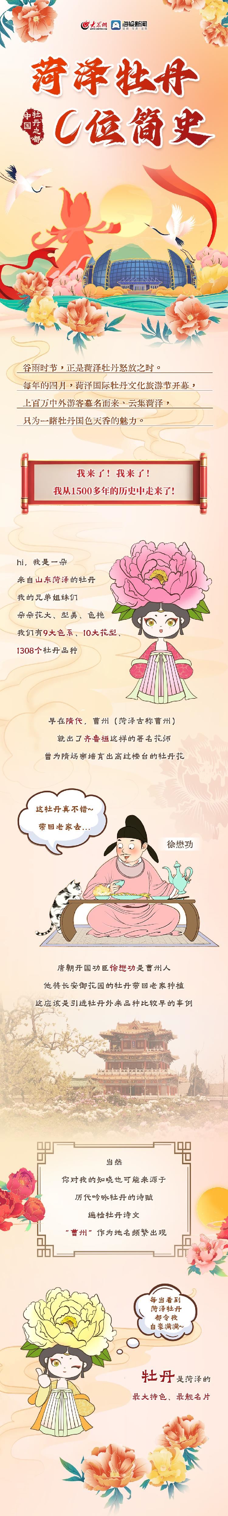 菏泽牡丹C位简史