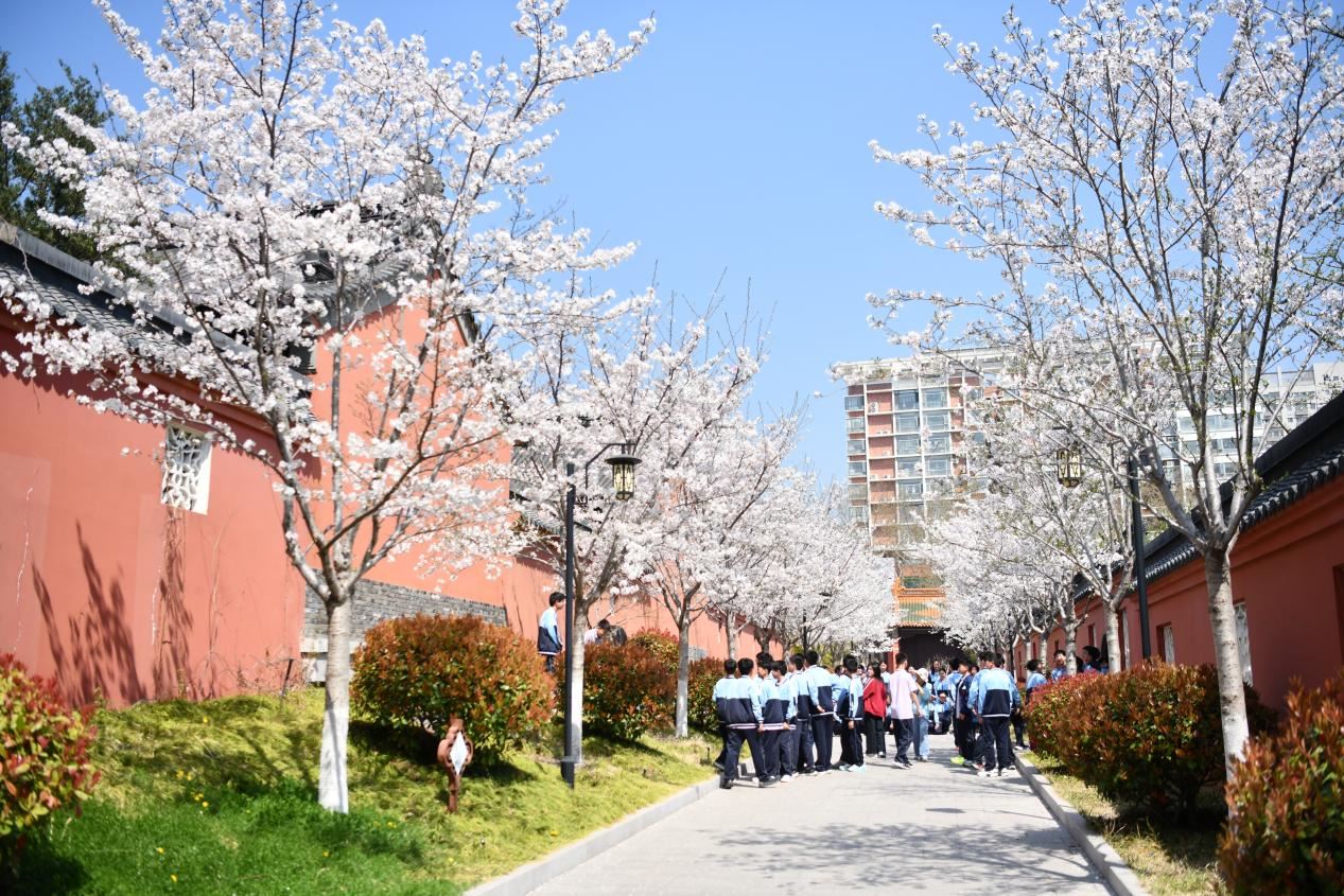 学生在校园里感受百年学宫的魅力。孙旭晖 摄