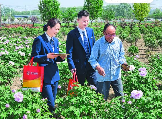 金融活水润沃土 奋楫争先开新局