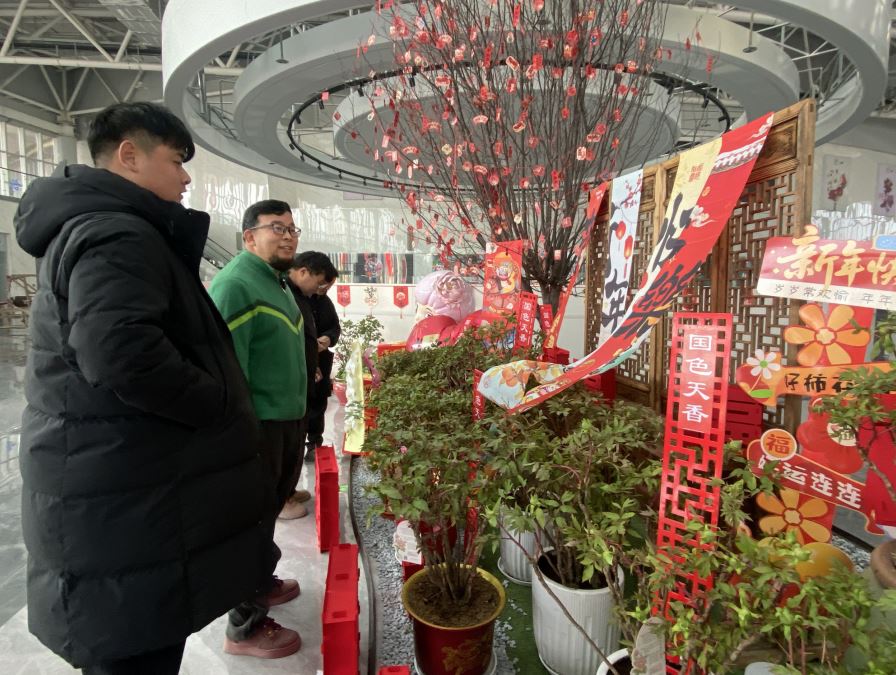 菏泽新增一花卉打卡地