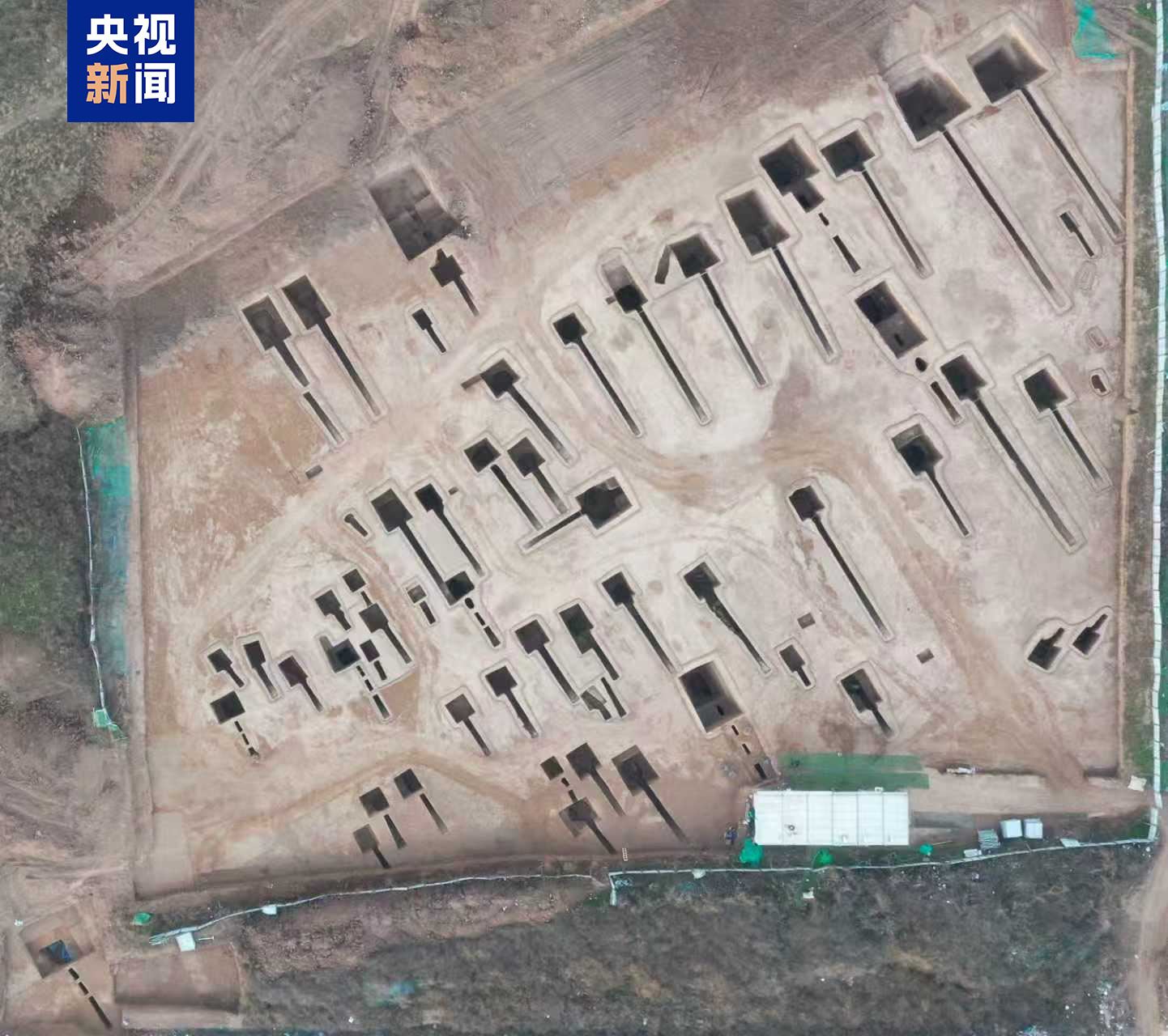 西安发现北魏杨氏家族墓 DNA证实家族亲缘关系_新闻频道