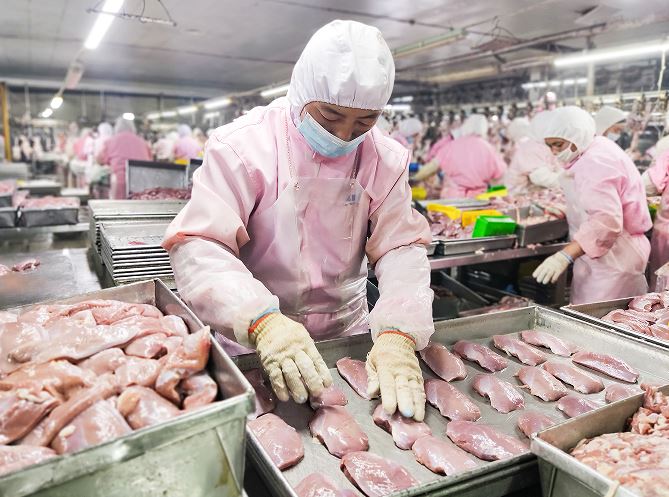 全链赋能肉鸭产业产销双赢