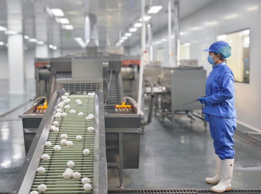 巨野蛋品产业向精深加工转型