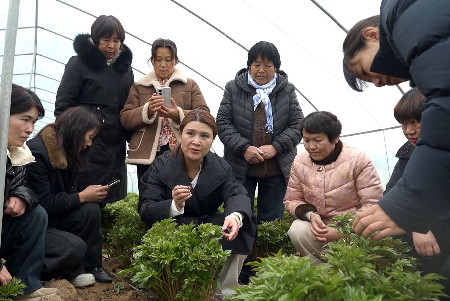 技能培训促妇女增收