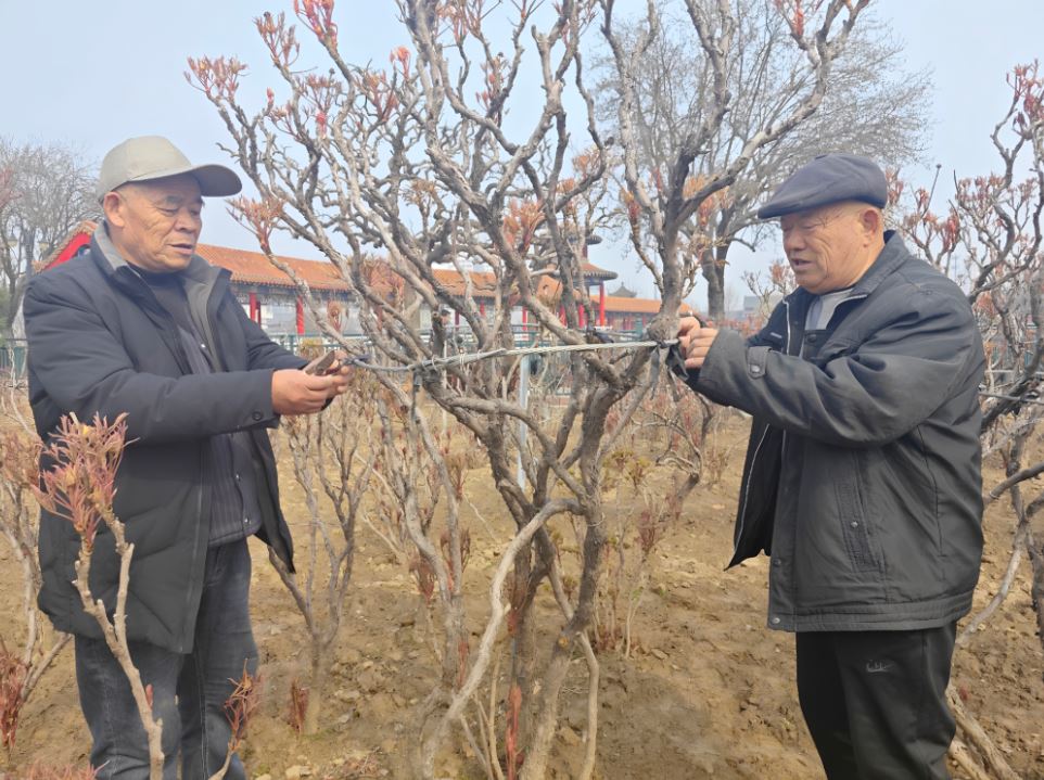 ScreenShot_2026-03-09_151248_814.png