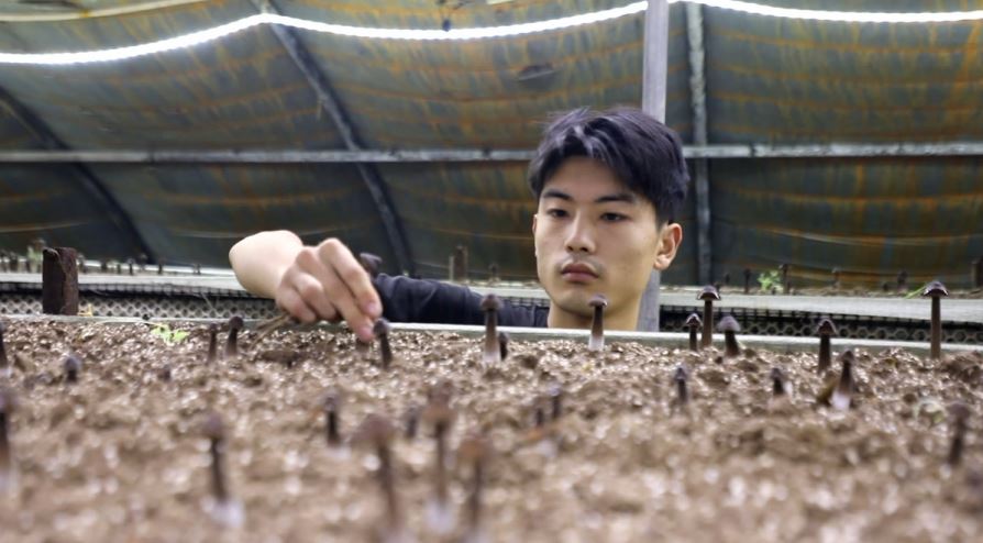 特色种植产业助增收