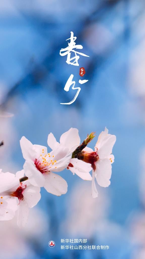 节令之美丨春分：千花百卉争明媚_新闻频道