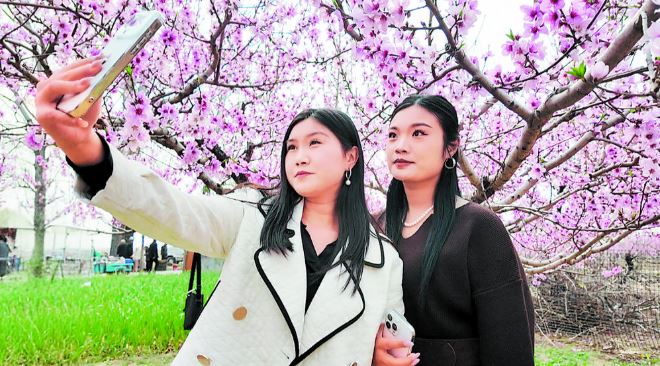 桃花盛会迎客来
