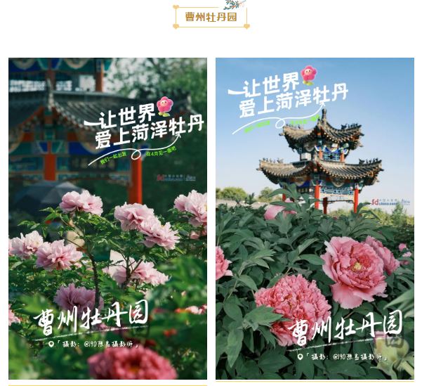 坐标菏泽,你有一份“花式”请柬待解锁!