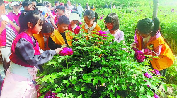 菏泽报业小记者牡丹花海觅春光