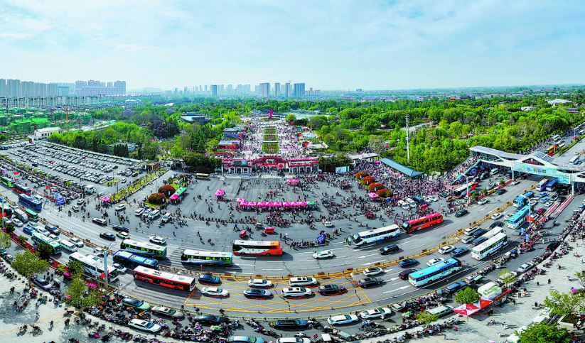 菏泽牡丹周末迎客48万人次