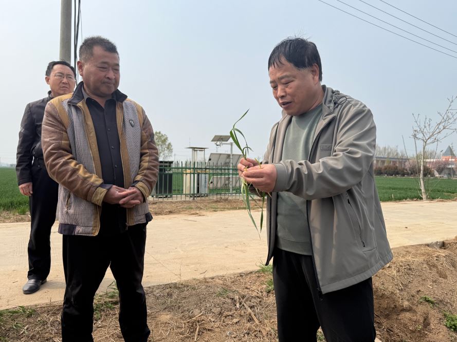 农技下乡助春管