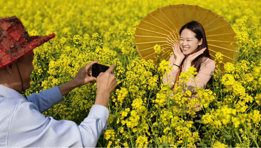 千亩花海醉游人 春日乡村入画来