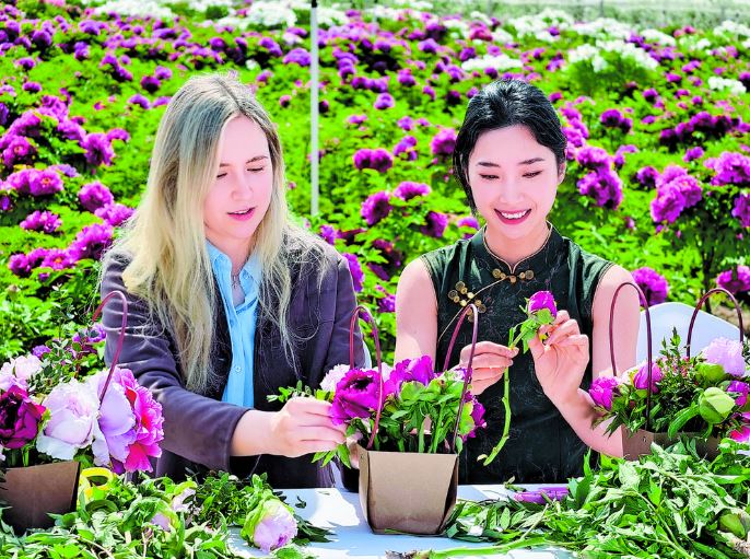 花海学花艺 共品牡丹韵