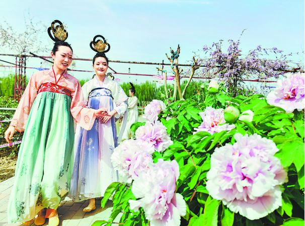 牡丹绽芳容 汉服赴春约