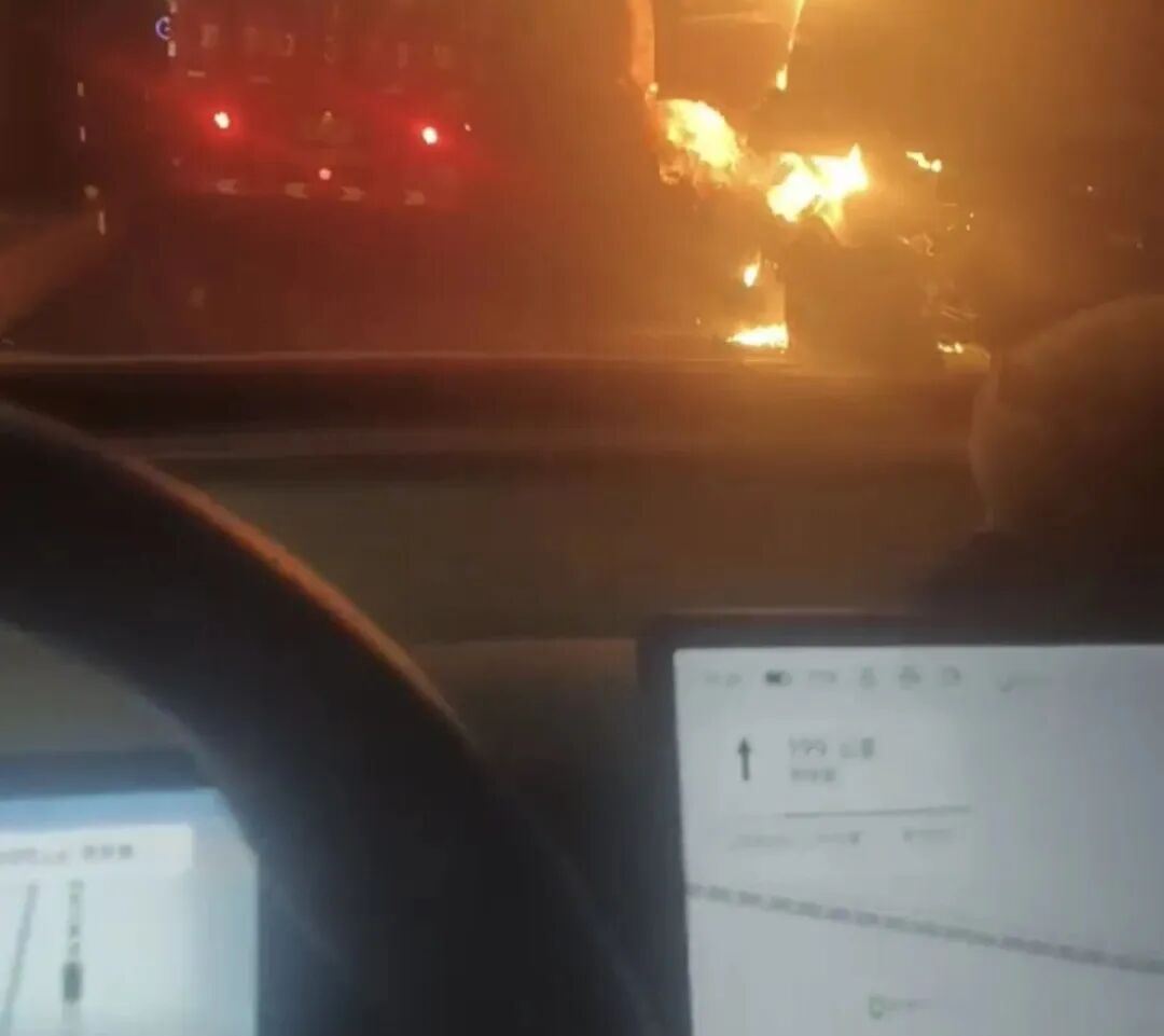 一城牡丹开,一群好人暖