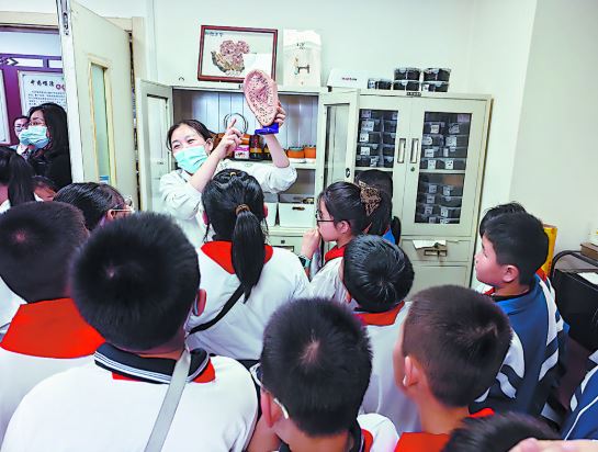 “中医魔法”大揭秘！小学生近距离感受传统医学魅力