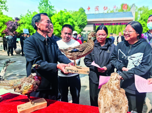 守护生态 共护鸟类家园