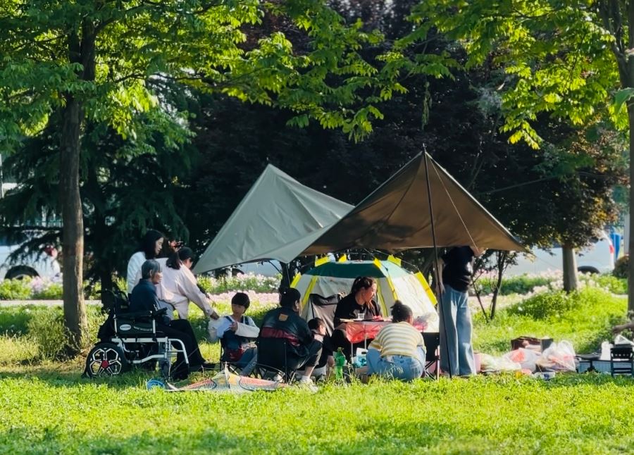 七里河畔月见草盛放，市民家门口悠享“微度假”