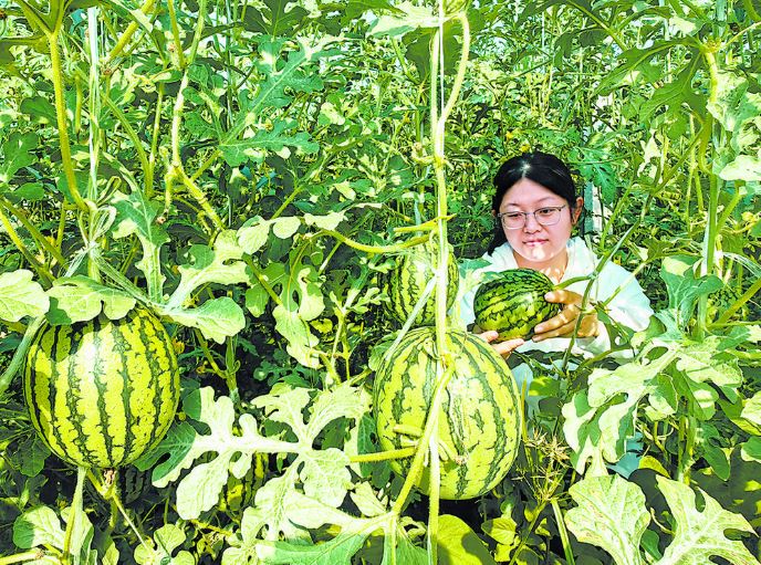 特色农业助增收