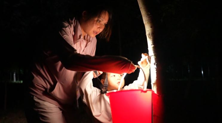 小金蝉撑起夏日特色消费热